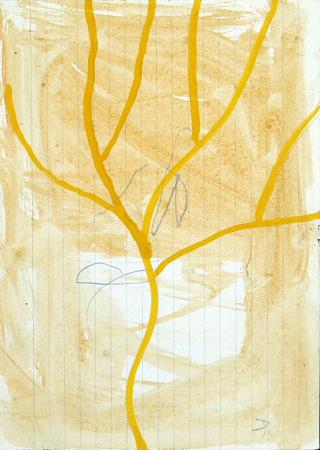 artwork by Jaume Pinya 