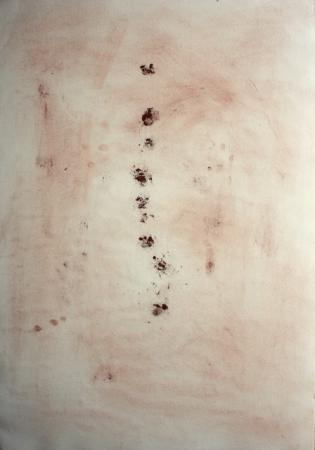 artwork by Jaume Pinya 