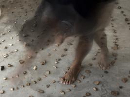 Jaume Pinya, photo by Iñaki Roldós.