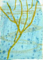 artwork by Jaume Pinya 