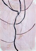 artwork by Jaume Pinya 